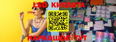 дмт Краснодар