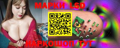 дмт Краснодар