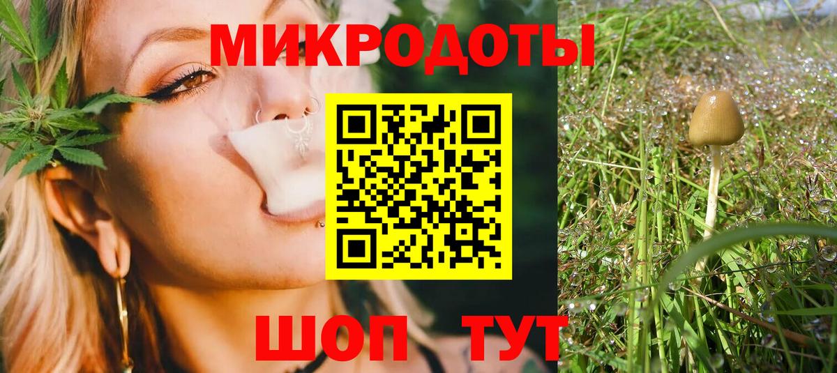 Чистополь  Псилоцибиновые грибы Cubensis  Вход с VPN 